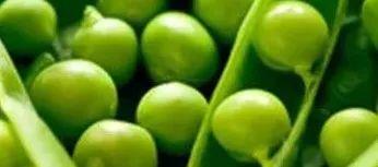 高血糖病人补什么硒(硒对血糖高的作用)-硒宝网