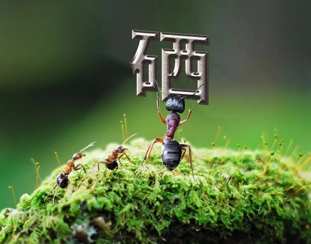 科学补硒与人体免疫(补硒增强免疫力)-硒宝网