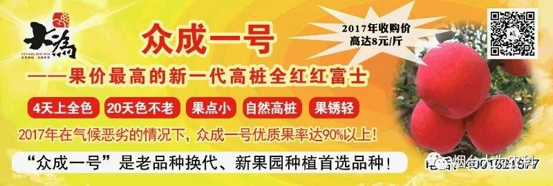 苹果补钙吗（吃苹果补钙）-硒宝网