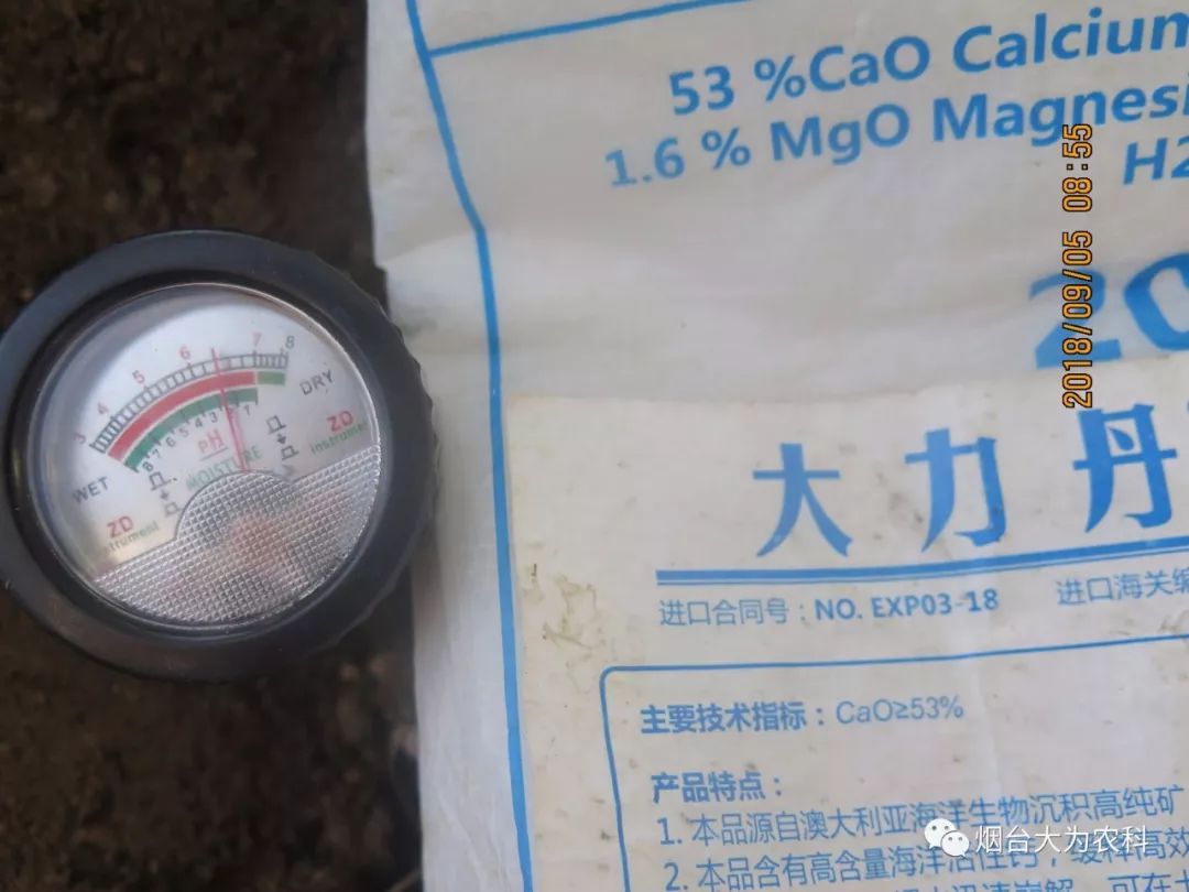 苹果补钙吗（吃苹果补钙）-硒宝网