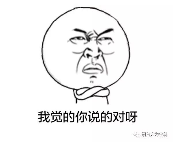 苹果补钙吗（吃苹果补钙）-硒宝网