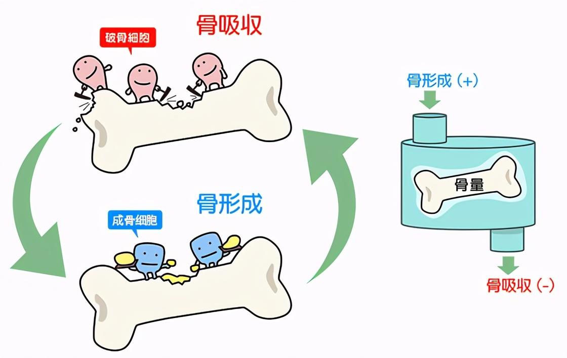 有补钙的针剂吗(补钙针剂有哪几种)-硒宝网