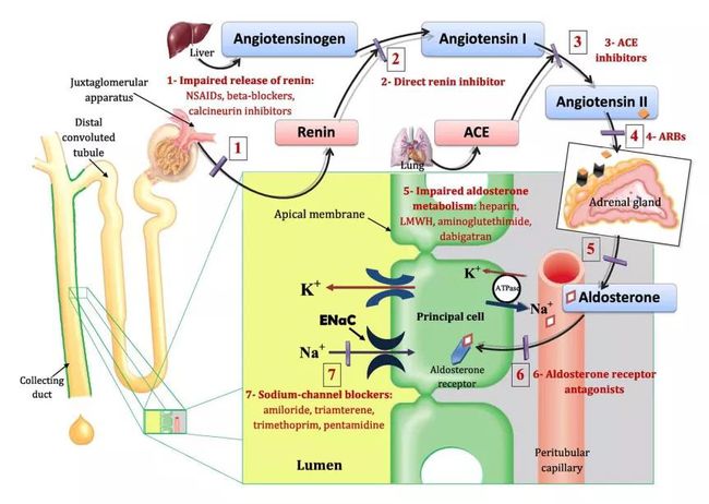 如何补充锌元素(补充锌元素有什么用)-硒宝网