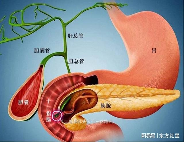 补硒中毒有什么症状（中毒症状补硒有效果吗）-硒宝网