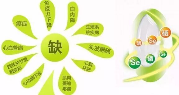 甲状腺肿瘤补硒酵母(肿瘤酵母补甲状腺硒有用吗)-硒宝网