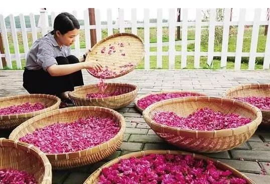 补硒对乳腺结节好吗(乳腺增生结节可以吃硒片吗)-硒宝网