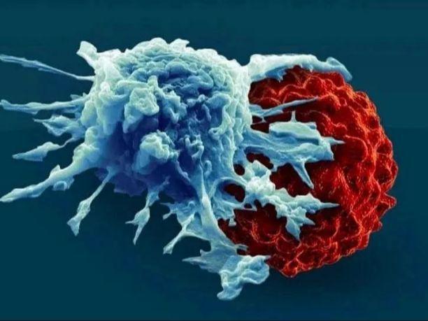 肺癌晚期肚胀能补硒(肺癌晚期病人能吃补硒药吗)-硒宝网