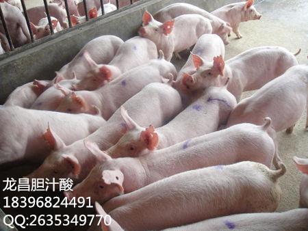 小猪拉稀可以补硒吗（小猪补拉稀硒可以吃吗）-硒宝网