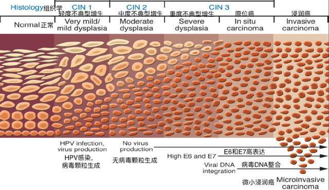 癌症补硒的进口药物（抗癌补硒药）-硒宝网