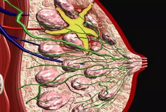 补硒对乳腺结节好吗(乳房有结节补硒管用吗)-硒宝网