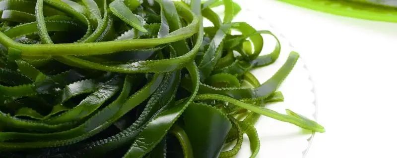 甲状腺功能不好补硒(补甲状腺功能好硒片有用吗)-硒宝网