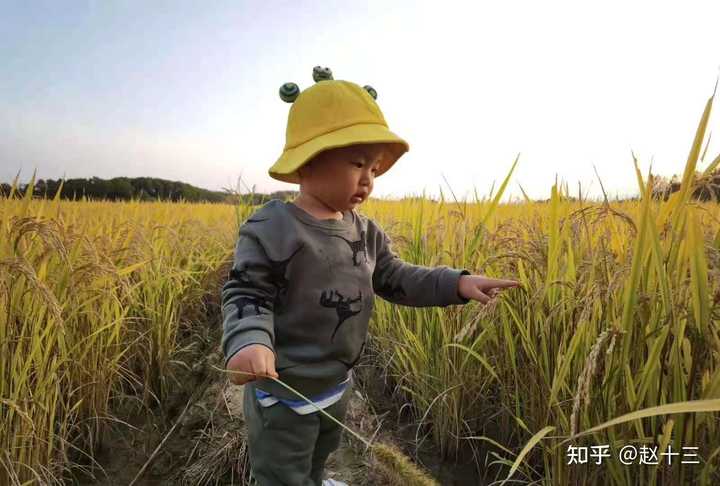 一岁宝宝需要补锌吗（宝宝补锌需要天天吃吗）-硒宝网