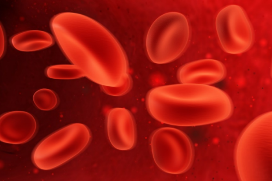 补铁怎么补（补补铁食物）-硒宝网