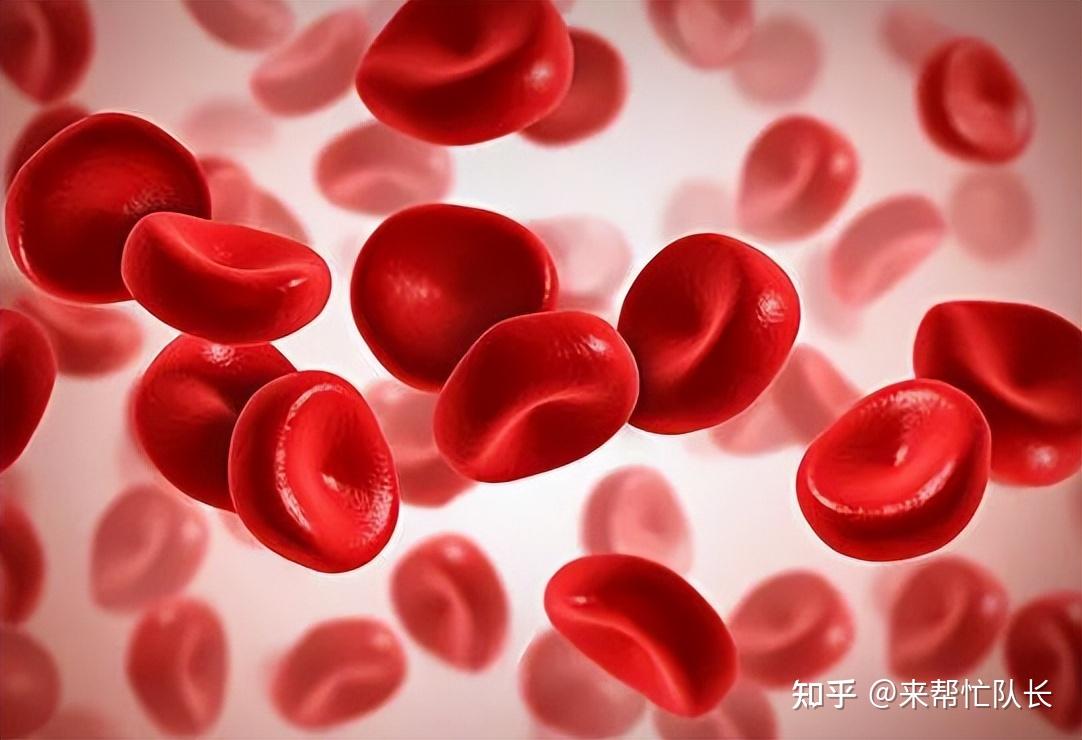 怀孕补铁吃什么(怀孕吃补铁药拉黑便正常吗)-硒宝网