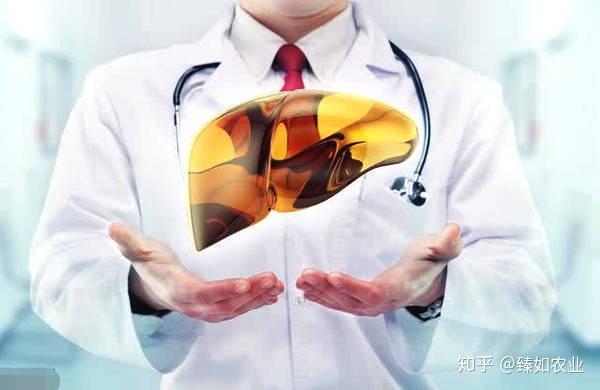 甲亢补硒治疗原则为(甲亢补硒能减少复发吗)-硒宝网