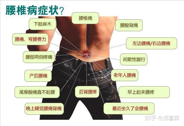 腰椎间盘突出能补钙吗(腰椎间盘突出能补钙么)-硒宝网