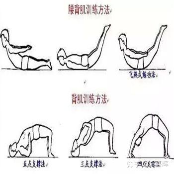 腰椎间盘突出能补钙吗(腰椎间盘突出能补钙么)-硒宝网