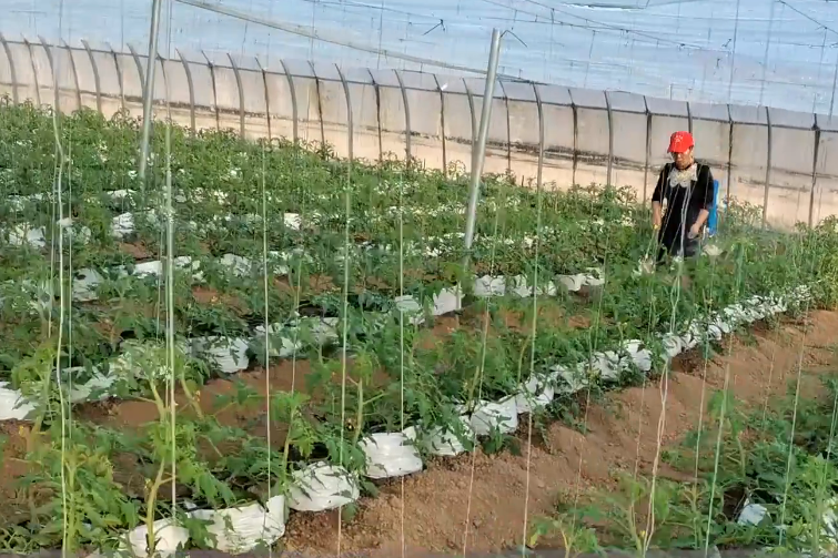 打钙针补钙效果好吗(打钙针有效果吗)-硒宝网