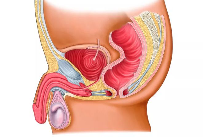 补硒提高精子质量吗（弱精补硒）-硒宝网