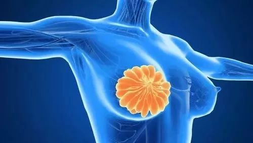 女性怎么补硒最好呢(女性补硒的作用和补硒的好处)-硒宝网