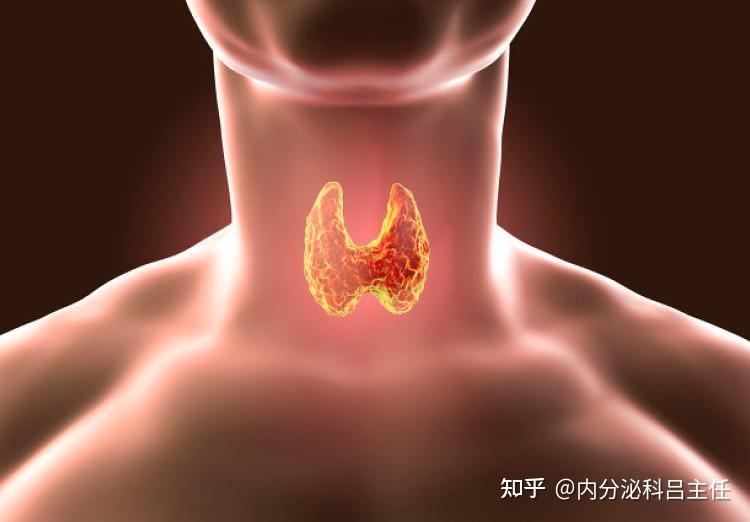 肺部结节补硒能消除（能肺部消除补结节硒元素吗）-硒宝网