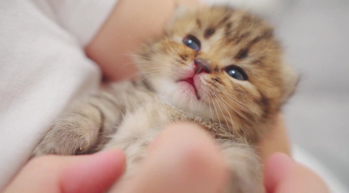 骨折后补钙吃什么钙片好(骨折补钙吃钙片好后能喝酒吗)-硒宝网