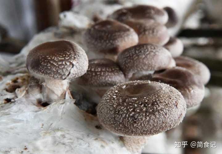 什么食物可以补硒呢（补食物硒可以长头发吗）-硒宝网