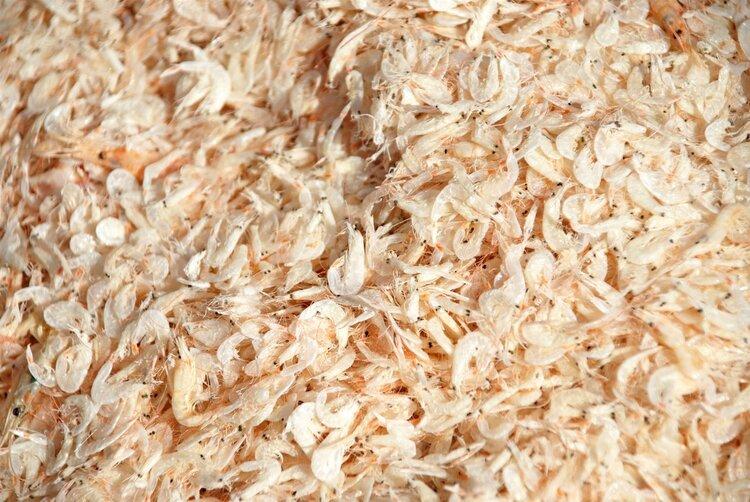 补钠的食物有哪些(钠可以补什么)-硒宝网