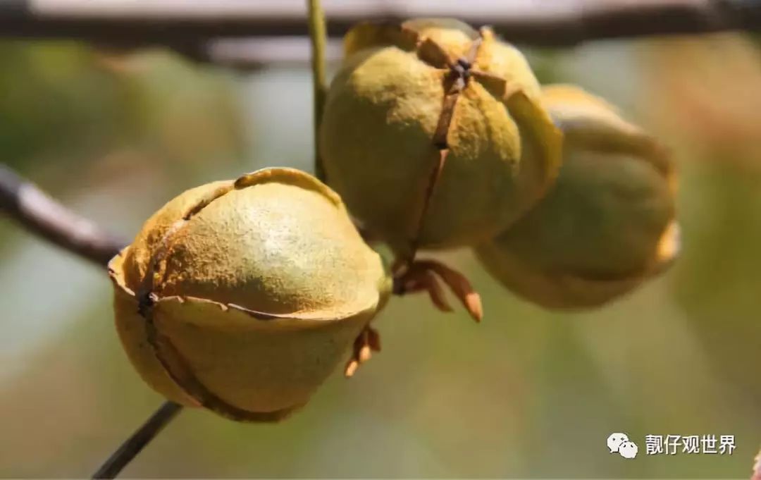 男人补锌补硒吃什么(男人补充锌硒有什么好处)-硒宝网