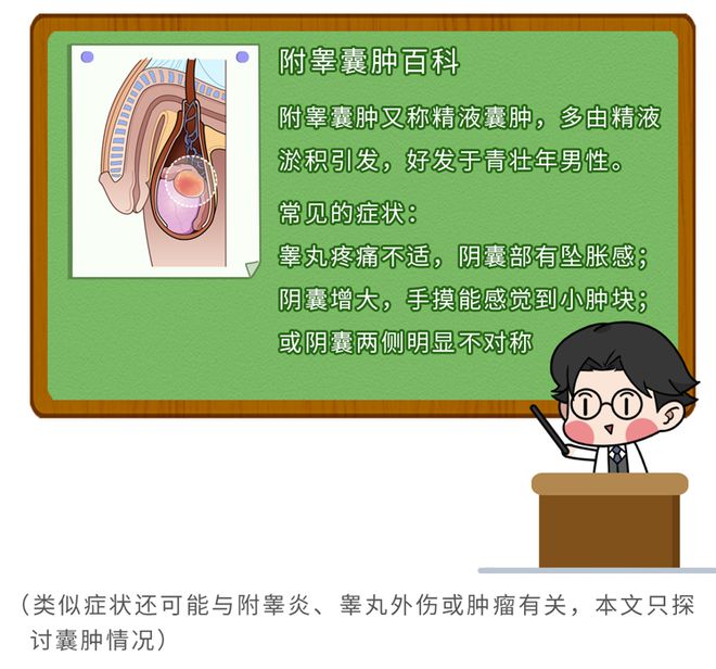 精子活力不够补硒吗(弱精补硒)-硒宝网