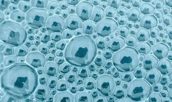 贫血可以补蛋白硒吗（贫血能吃硒吗）-硒宝网