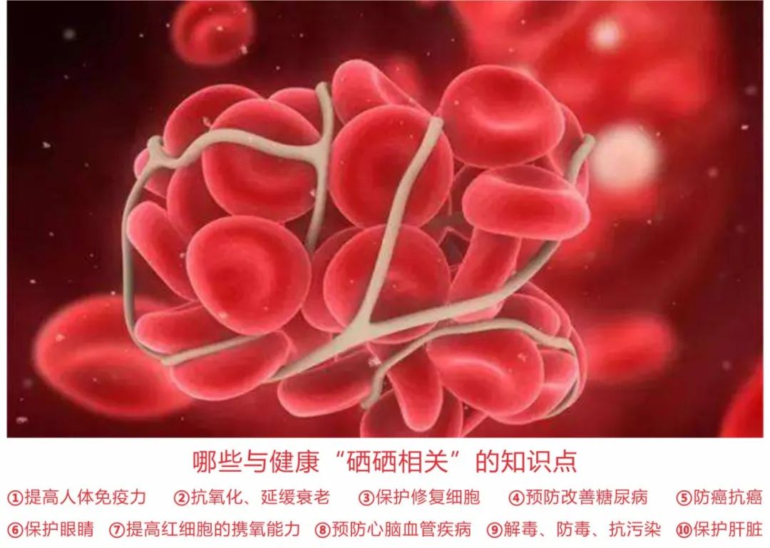 贫血可以补蛋白硒吗（贫血能吃硒吗）-硒宝网