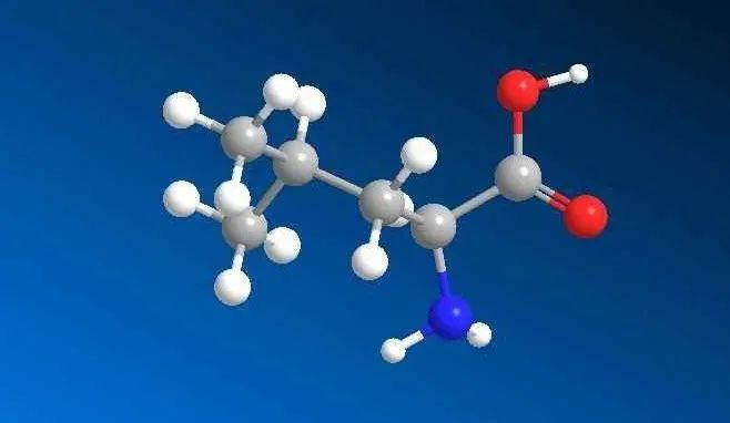 贫血可以补蛋白硒吗（贫血能吃硒吗）-硒宝网
