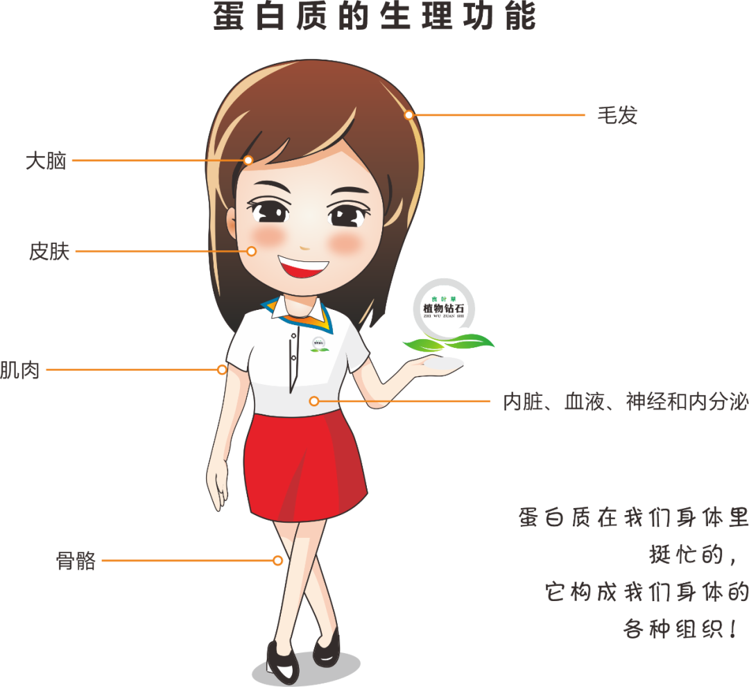 贫血可以补蛋白硒吗（贫血能吃硒吗）-硒宝网