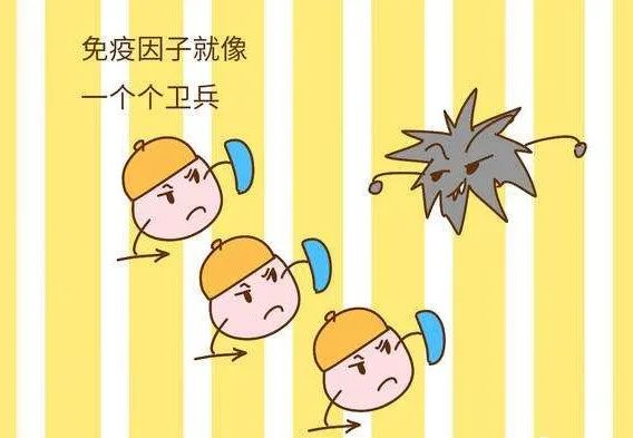 贫血可以补蛋白硒吗（贫血能吃硒吗）-硒宝网