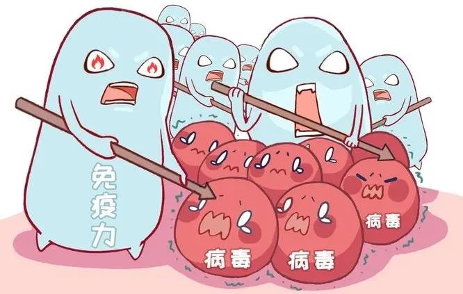 贫血可以补蛋白硒吗（贫血能吃硒吗）-硒宝网