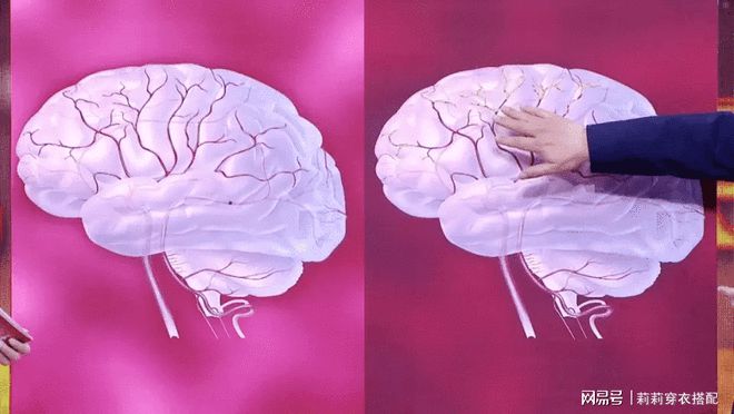 微量元素铅(重庆铅元素动画公司)-硒宝网