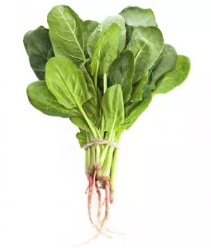 什么菜是补铁的(吃菜补铁)-硒宝网
