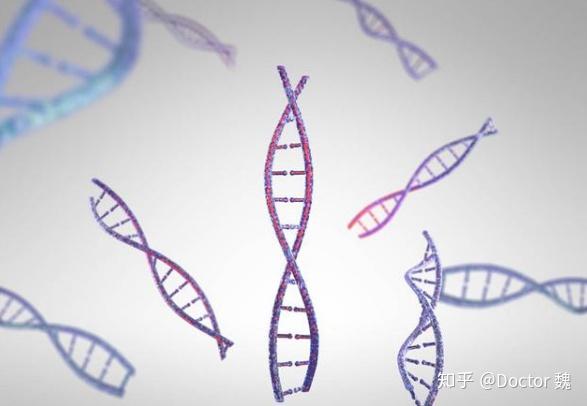 甲亢补硒元素多少克（补硒治疗甲亢）-硒宝网