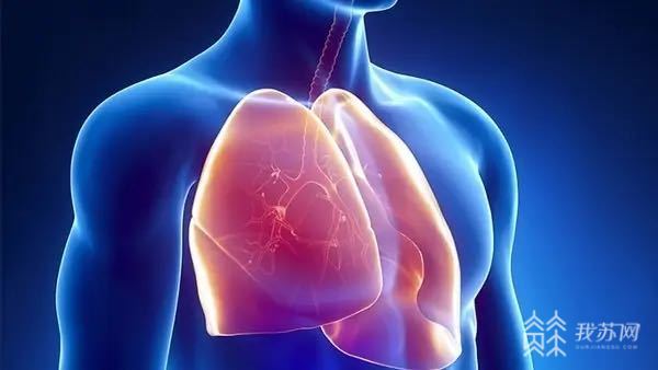 补硒会缓解哪些症状（补硒会引起哪些疾?。?硒宝网