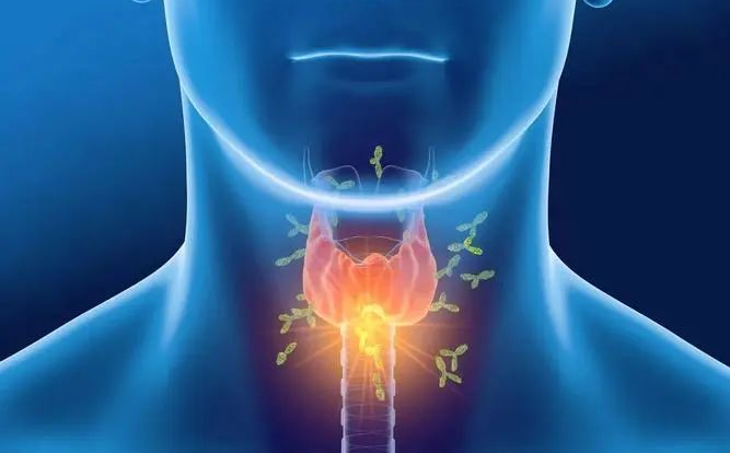 桥本甲状腺备孕补硒（桥本甲状腺炎备孕吃多少优甲乐）-硒宝网