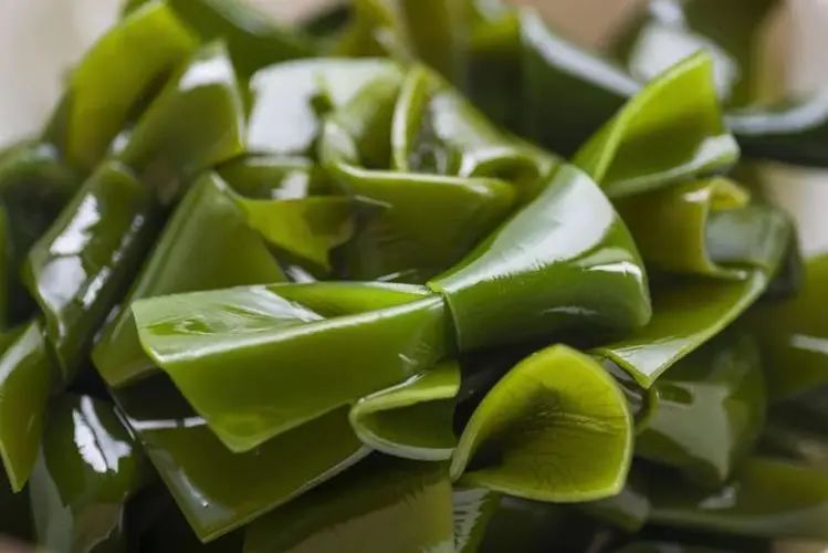 桥本甲状腺备孕补硒（桥本甲状腺炎备孕吃多少优甲乐）-硒宝网