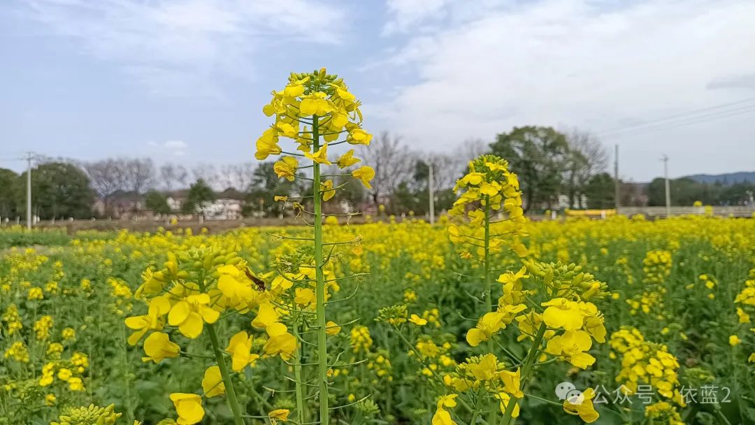 dha补钙吗(补钙DHA有什么好处)-硒宝网