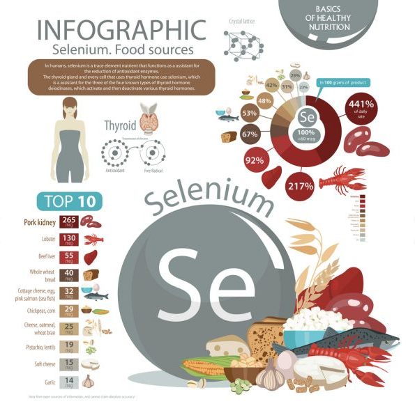 桥本甲状腺备孕补硒(桥本氏甲状腺备孕)-硒宝网