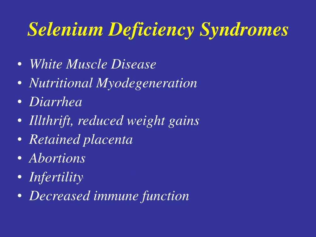 桥本甲状腺备孕补硒(桥本氏甲状腺备孕)-硒宝网