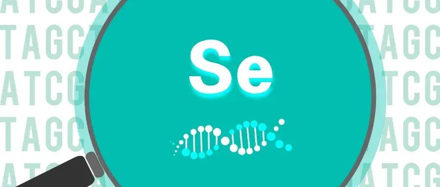 补硒的抗癌作用机理（硒抗癌症）-硒宝网