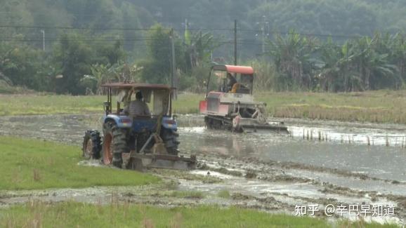 中国补硒协会捐灾区(中国补硒工作协会)-硒宝网