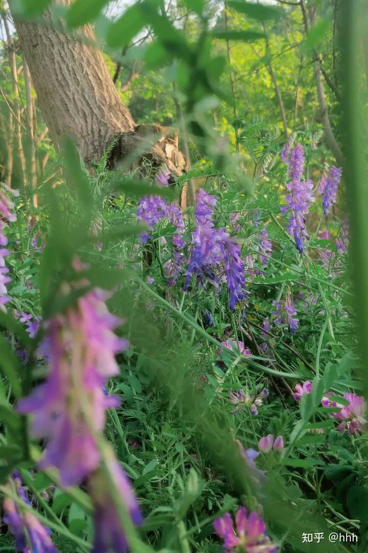 补硒能治疗多动症吗(补硒可以治疗癌症吗)-硒宝网