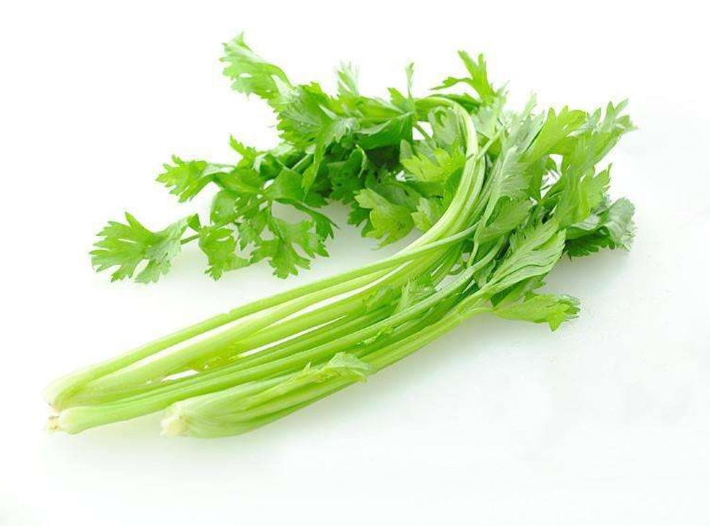 宝宝什么时候补锌(宝宝时候补锌还是补钙)-硒宝网