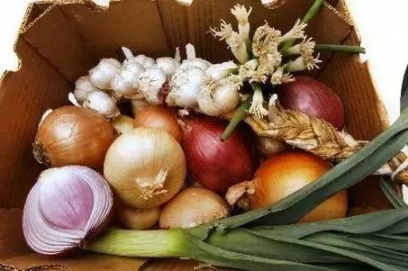 什么水果蔬菜能补硒(蔬菜能水果补硒嘛)-硒宝网